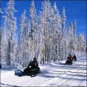 Snowmobilers